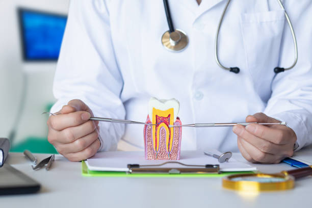 Best After-Hours Emergency Dentist in Cloverleaf, TX